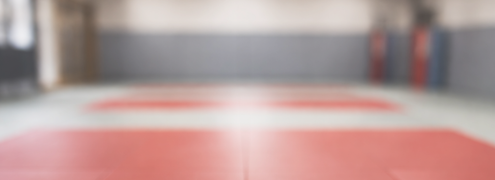 Banner da Academia